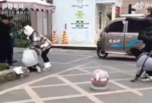 女子遛大型犬吓到路人：狗比你金贵 警方已介入调查-融党建互动平台