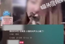女子直播被指虐猫后直接放嘴里咬 网友：博取流量也不必这样-融党建互动平台