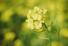 2024年立春是几月几号几点 2月4号立春具体时间-融党建互动平台