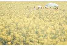 立春节气有什么传统习俗？立春吃什么传统食物？-融党建互动平台