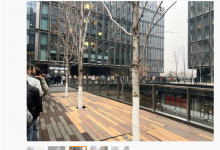 雷军、卢伟冰发开工红包：小米员工排起了长队-融党建互动平台