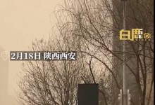 开工第1天西安人均野生兵马俑 网友：很符合开工的心情-融党建互动平台