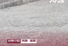 龙门石窟保安柔弱无力喊麦走红 网友：很可爱很心疼-融党建互动平台