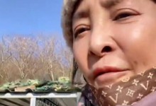 演员李勤勤收养周海媚爱犬 称狗狗墩墩很可爱-融党建互动平台