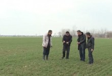 各地加强春耕春管 夯实粮食丰收基础-融党建互动平台