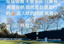 周杰伦：只要有狗还在吠 就代表你还是行-融党建互动平台