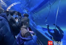 海洋馆潜水员溺亡 游客：以为是假人-融党建互动平台