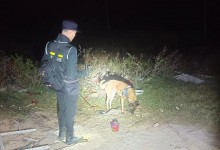 失踪4姐弟凌晨被发现在芦苇丛睡觉 因与父母起争执离家-融党建互动平台