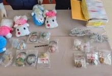 昆明海关查获人体组织制品12件 网友：毛骨悚然-融党建互动平台