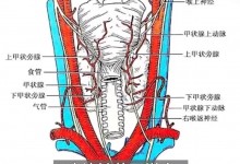 女生唱歌突然跑调查出恶性肿瘤 专家：严重会死亡-融党建互动平台
