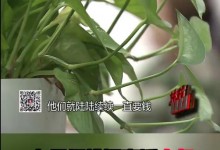 女子假扮闺蜜近十年诈骗闺蜜亲妈300万 网友：电视剧都不敢这么演-融党建互动平台