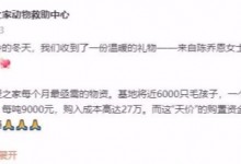 陈乔恩捐赠20吨狗粮 曾多次为流浪动物发声-融党建互动平台