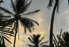 李惠利取关柳俊烈 曝韩素希柳俊烈用情侣手机壳-融党建互动平台