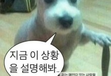 韩素希回应与柳俊烈恋情传闻：不喜欢有对象的人-融党建互动平台