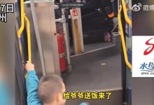 三岁半孙子每天给开公交的爷爷送饭 网友：幸福的爷孙俩-融党建互动平台