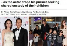 皮特放弃争夺孩子监护权 皮特朱莉离婚官司接近尾声-融党建互动平台