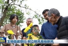 清明节临近：文明低碳祭扫 树立移风易俗新风-融党建互动平台
