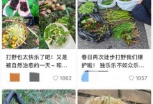 大妈连吃7天野菜吐血晕厥 网友：任何事都过犹不及-融党建互动平台