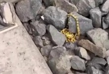 女子火车上如厕时130g黄金掉落铁轨 民警徒步4小时找回-融党建互动平台