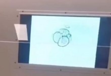 这个宝宝一出生就15岁了 网友：我还以为这孩子显老-融党建互动平台