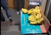 水果店开了二十几年只卖香蕉 网友：一生只做一件事-融党建互动平台