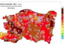 郑州的风有多大：大树被连根拔起  有人半夜被刮醒-融党建互动平台