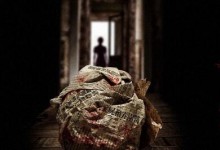 《酱园弄》戛纳首映确定阵容：章子怡杨幂李现此沙等出席-融党建互动平台