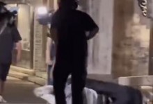 那英录综艺摔倒 网友：英子我心疼你-融党建互动平台