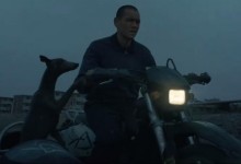 《狗阵》黑狗是彭于晏养的 爱犬还入围“狗狗金棕榈”-融党建互动平台