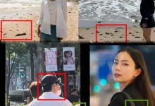 朴叙俊新女友曝光？两人相差10岁 女方为美籍华裔-融党建互动平台