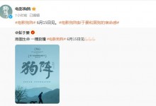 《狗阵》获无数好评 彭于晏与黑狗互相救赎-融党建互动平台