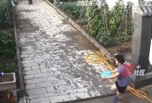 89岁老人一手拄拐一手抓蛇吓坏女儿 55岁女儿吓到直跺脚-融党建互动平台