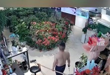 养了6年的巨骨舌鱼把自己摔死了 网友：缸太小了-融党建互动平台