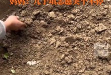 爷爷生前为孙子封了坛状元酒 网友：沉甸甸的爱-融党建互动平台