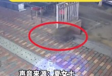 顾客饭店追野猪：我二百多斤怕它？ 网友：这体重不是盖的-融党建互动平台
