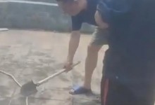 小区业主砍断高空作业工人绳索 楼栋有32层110米高-融党建互动平台