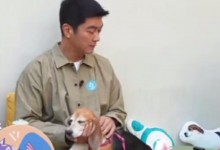 杜江心疼“珍珠”服从性极强 很难看到它不受控-融党建互动平台