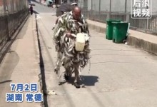 暴雨后大爷穿了一身鱼满载而归 网友：这是真“鱼”衣-融党建互动平台