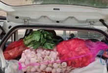 女婿晒丈母娘准备的170斤土特产 网友：是沉甸甸的爱-融党建互动平台