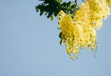 2025年父亲节是哪一天 今年父亲节是几月几号周几-融党建互动平台