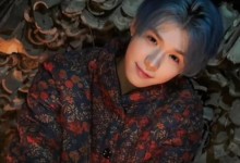 何秋亊方向汪苏泷道歉 工作室发道歉声明-融党建互动平台