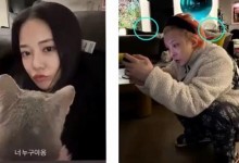 权志龙否认与李珠妍恋情传闻 此前两人曾被D社拍到-融党建互动平台