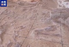 黔江抢救性发掘白垩纪恐龙化石 发现“长生黔江龙”新属种-融党建互动平台