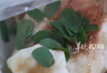 女子吃桃子咬开发现里面一堆树叶 网友：一只切叶蜂悄悄地碎了-融党建互动平台