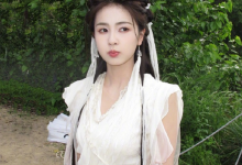 白鹿遭不明身份人员长时间骚扰 目前已报警-融党建互动平台