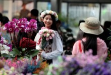 美丽遇甜蜜 消费“别样红”——云南鲜切花七夕节前市场一线观察-融党建互动平台