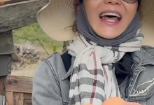 张曼玉分享法国农村生活日常：养鸡种地 捡鸡蛋-融党建互动平台