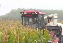 “干”字当头！各地多举措保“三秋”生产 全力守护群众“粮袋子”-融党建互动平台
