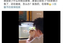 张馨予晒丈夫养鱼视频：家里生了100多条小鱼-融党建互动平台