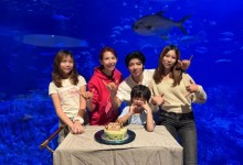 蔡少芬张晋为6岁儿子庆生 晒一家五口合影-融党建互动平台